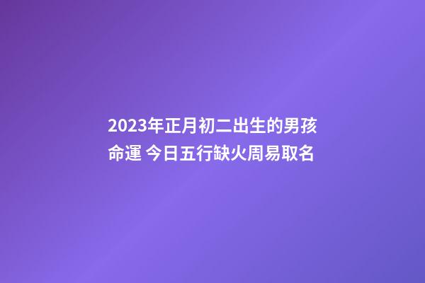 2023年正月初二出生的男孩命運 今日五行缺火周易取名